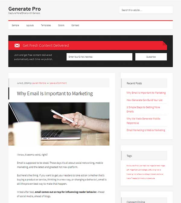 Generate Pro Email Leads WP Theme Download Generate Pro Email Leads WP Theme