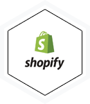 Shopify Themes