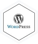 WordPress Themes