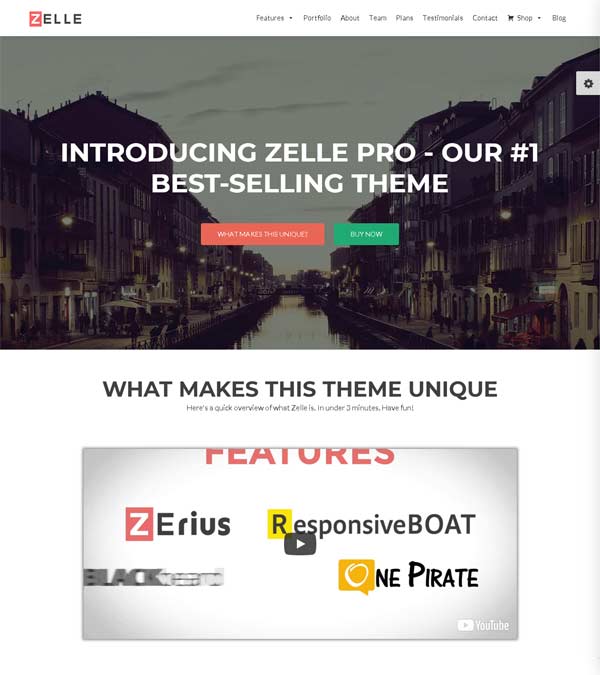 Download Zelle Pro One Page Business Theme