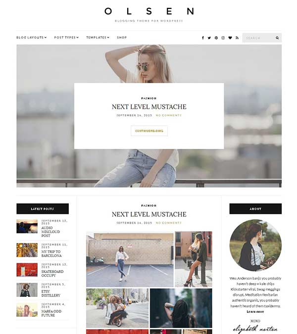 Download Olsen Blogging WordPress Theme