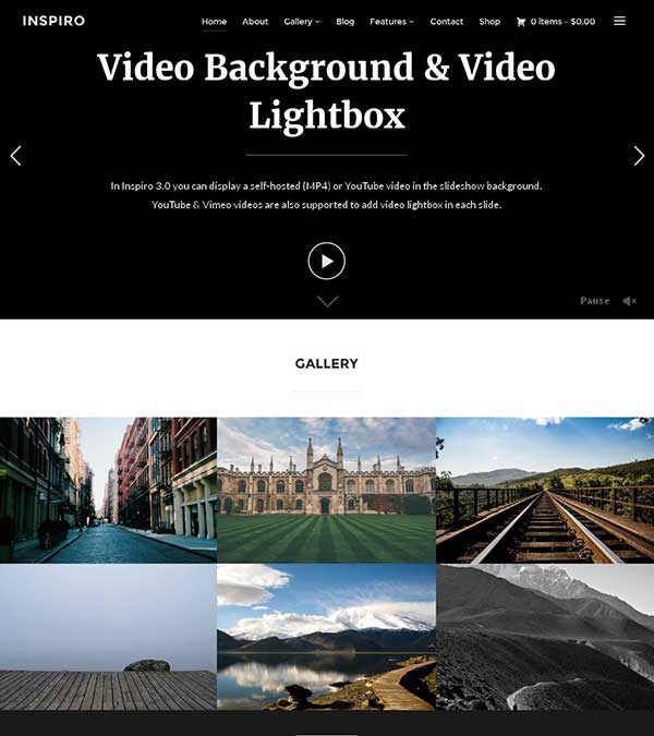 Download Inspiro Theme Portfolio WordPress