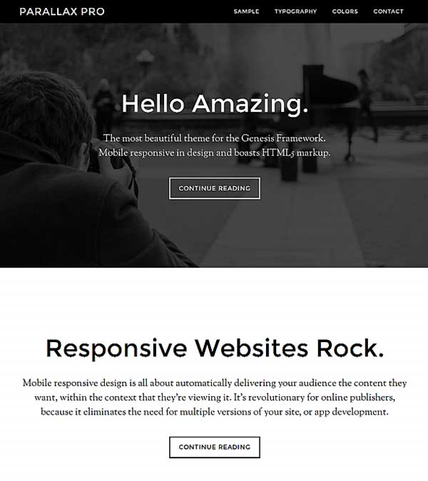 Download Parallax Pro Genesis WordPress Theme