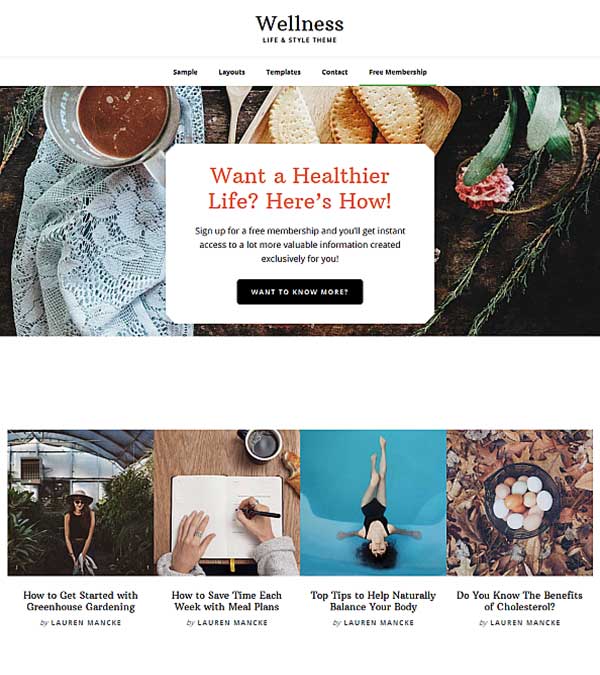 Download Wellness Pro LifeStyle WordPress Theme