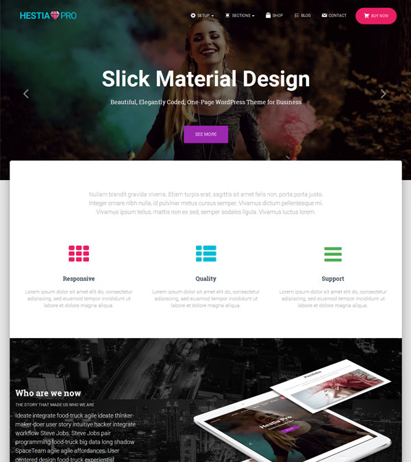 Download Hestia Pro Material Design WP Theme