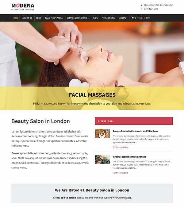 Modena Small Business WP Theme