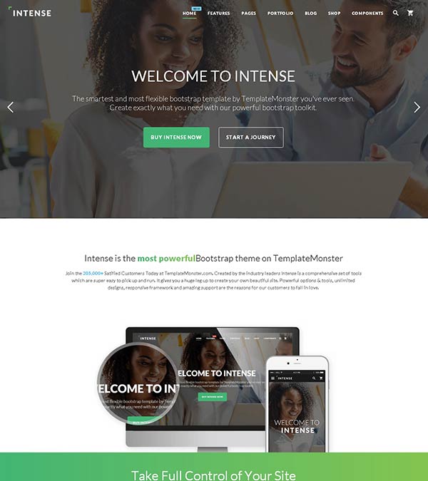 Download Intense Multipurpose Website Template