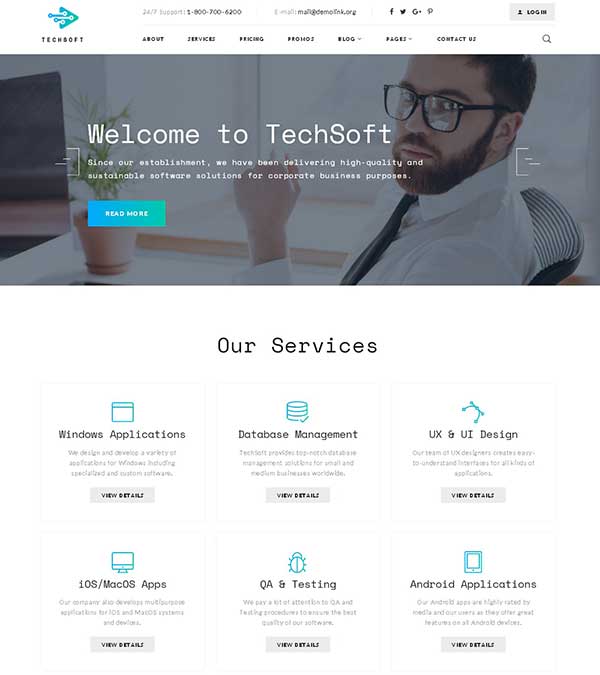 Download TechSoft Business Website Template