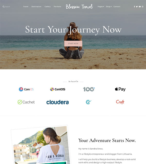 Download Blossom Travel Pro Blog WP Theme