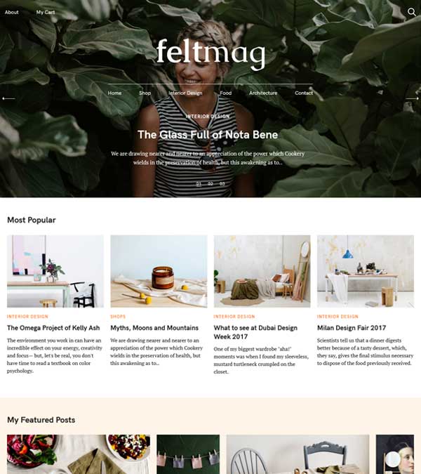 Download Felt Magazine WordPress Theme