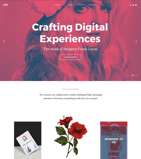 Download Pile Best Portfolio WordPress Theme