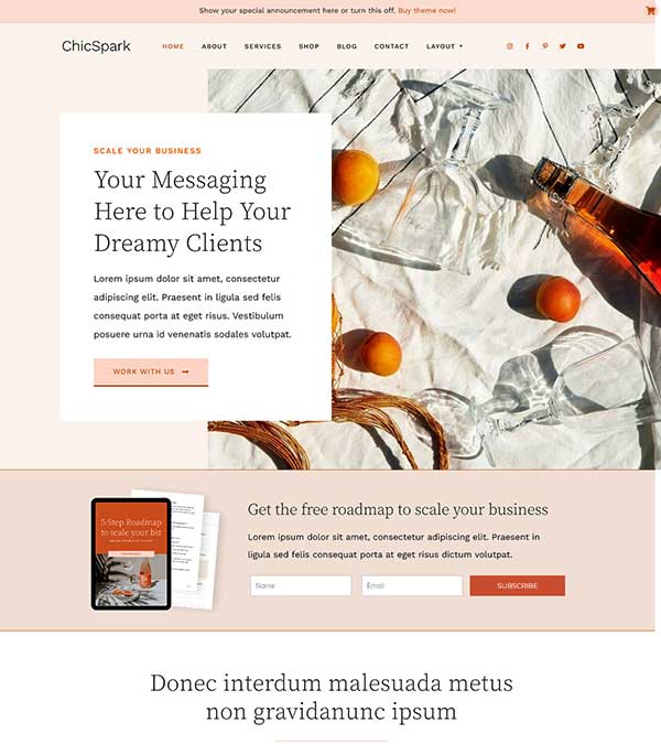 ChicSpark Entrepreneurs WP Theme