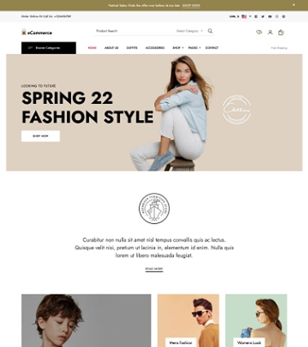 Rara eCommerce Pro WP Theme