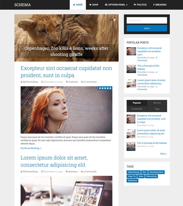 Schema Fast SEO WordPress Theme Download Schema Fast SEO WordPress Theme